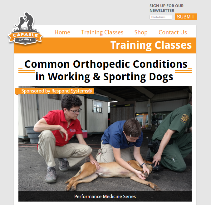 Capable Canine's Updated Training Class Pages