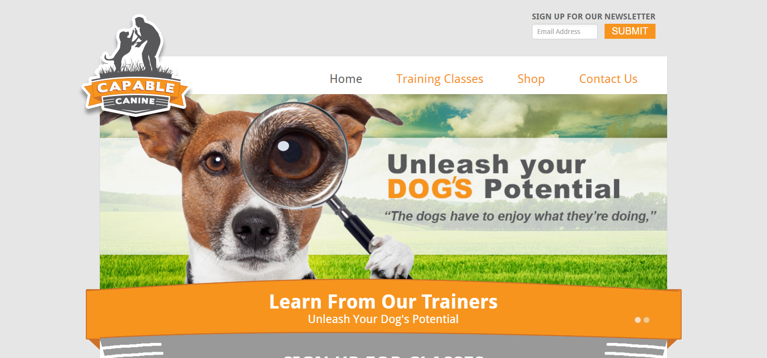 Capable Canine's Updated Website Home Page