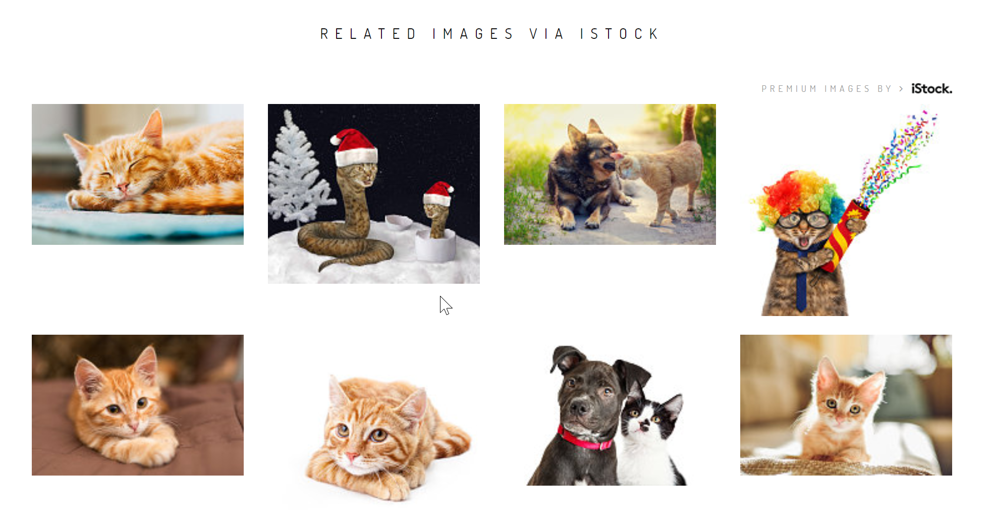 Where to find free stock photos online - Related Images