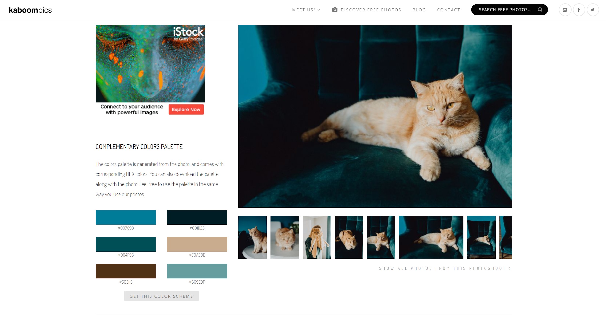 Where to find free stock photos online - Kaboompics Color Palette